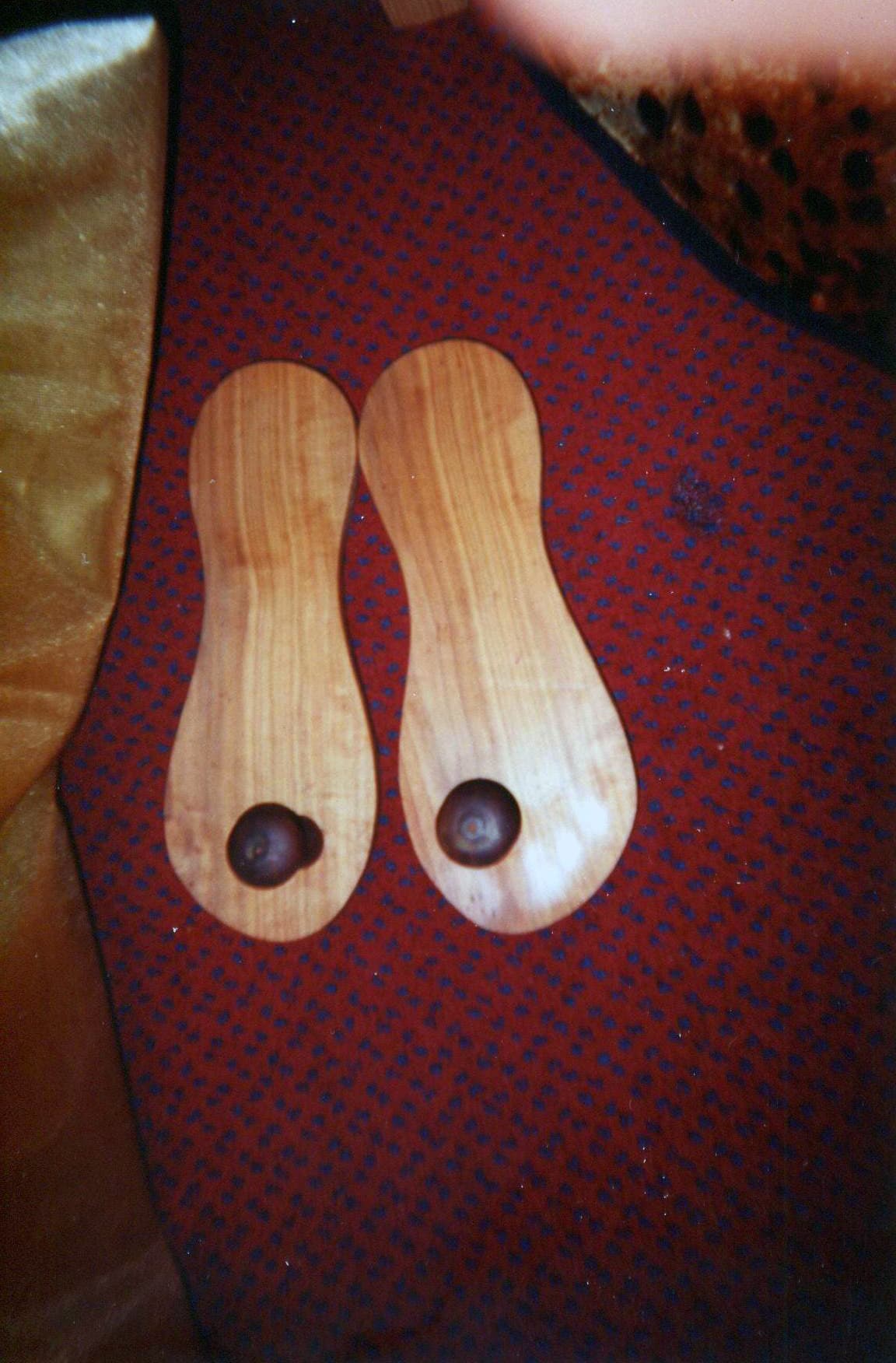 બાપુજીના પાદુકાજી