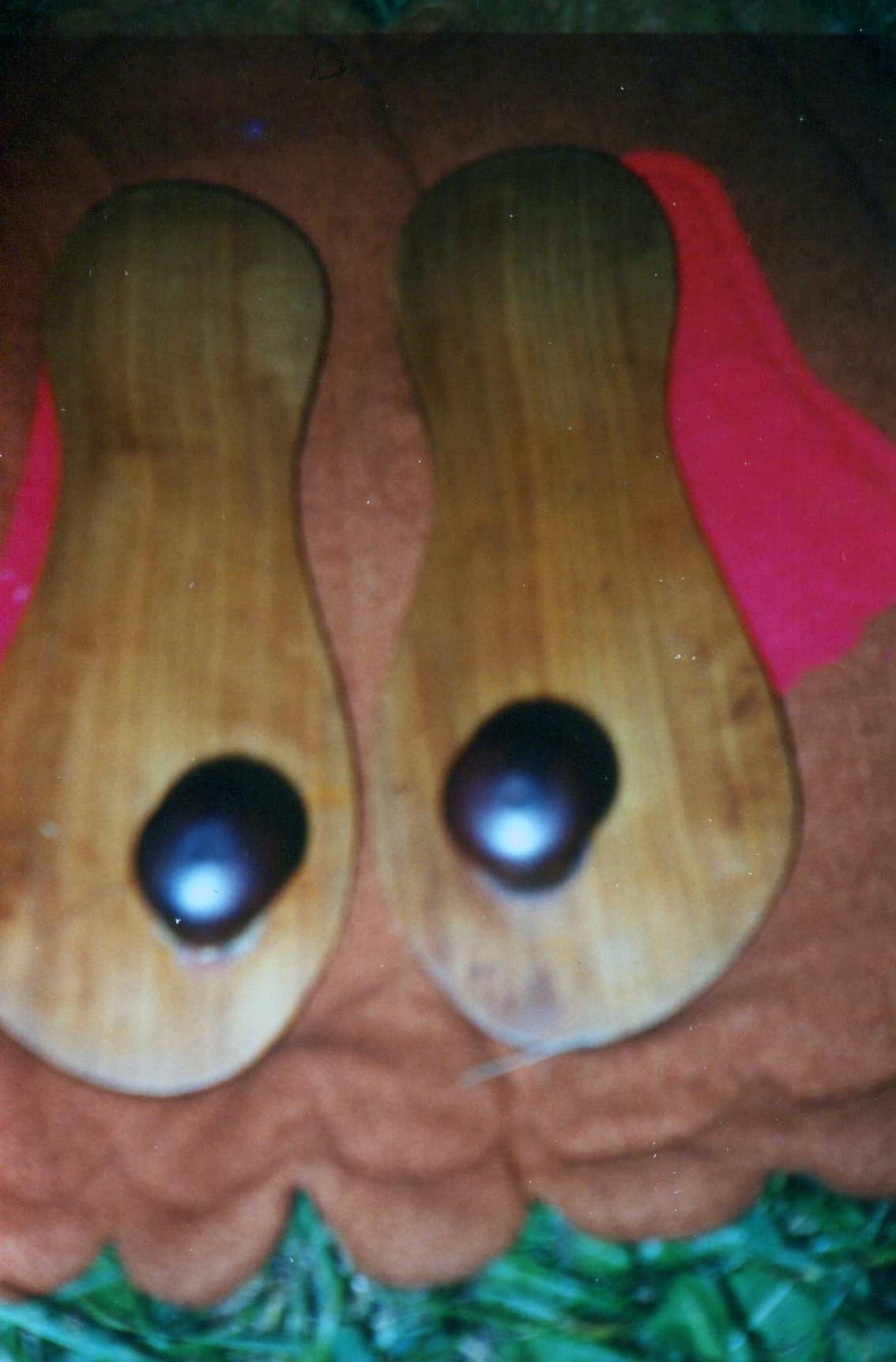 બાપુજીના પાદુકાજી