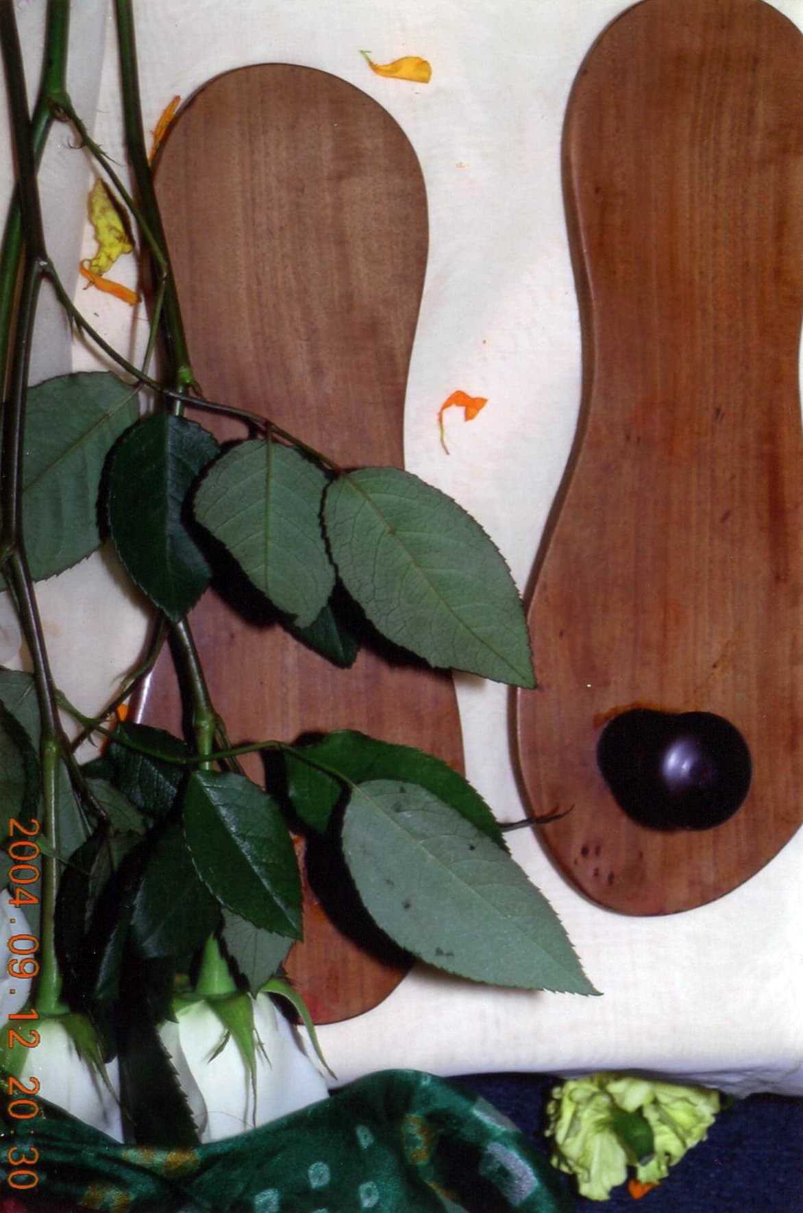 બાપુજીના પાદુકાજી