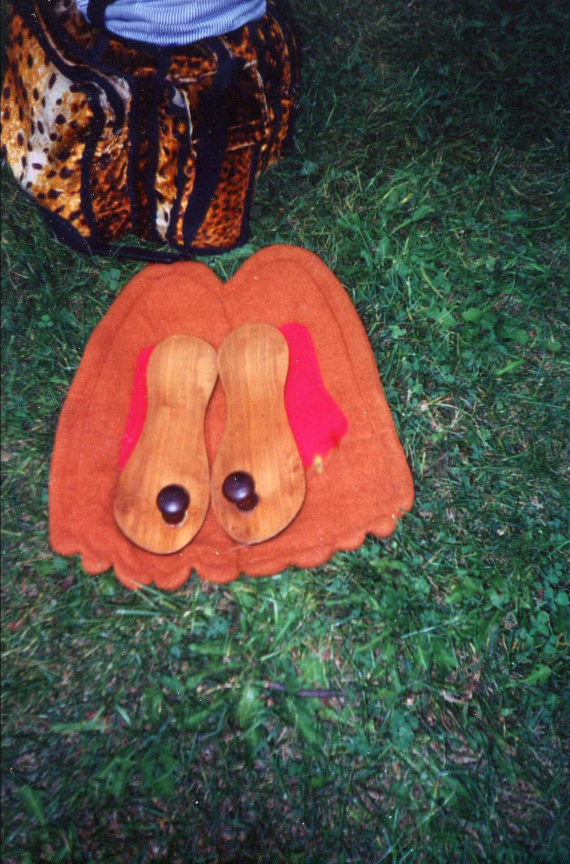 બાપુજીના પાદુકાજી