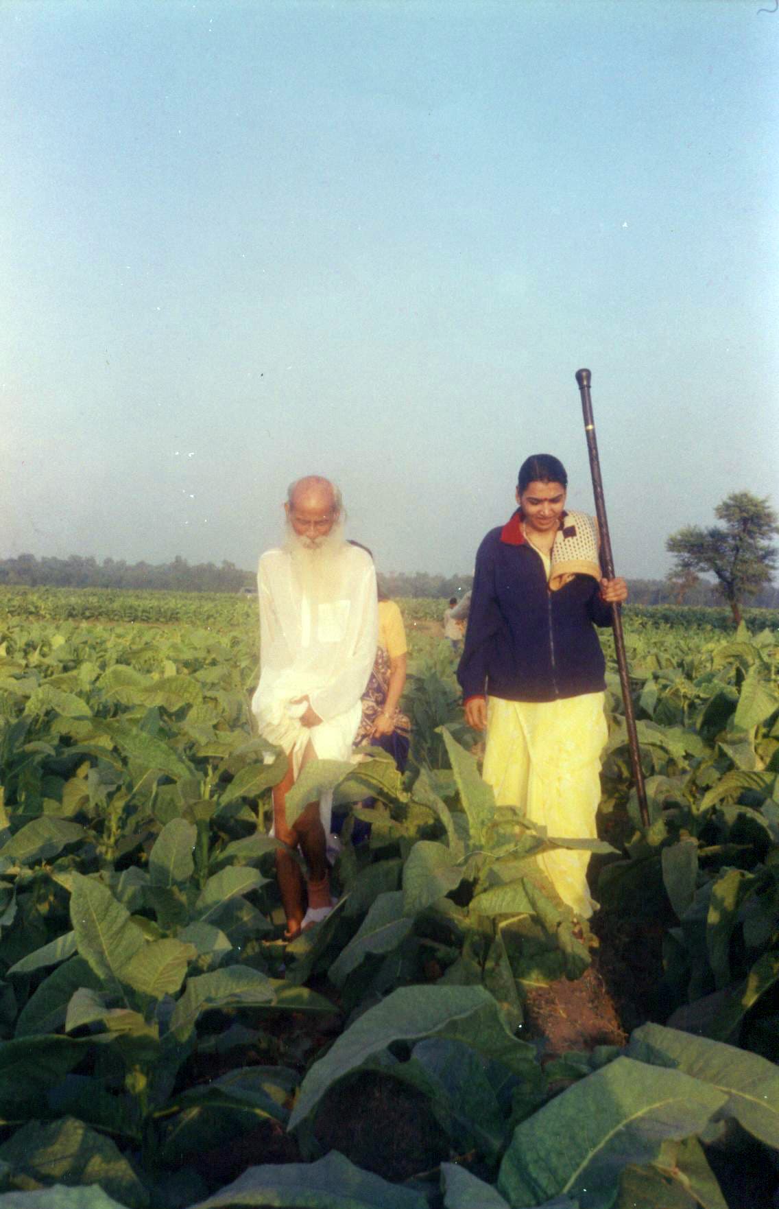 કોઠિયાખાડ