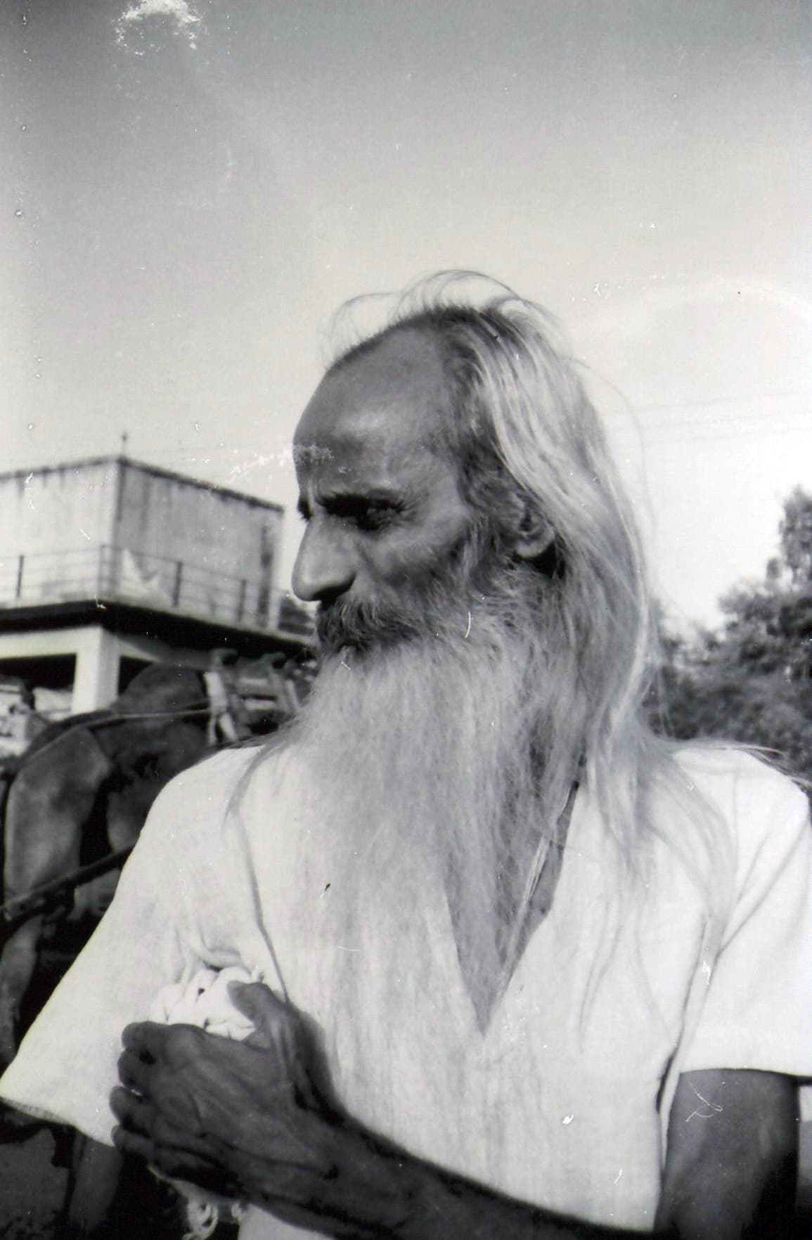 લીંચ - બ્લેક & વાઈટ ઘર