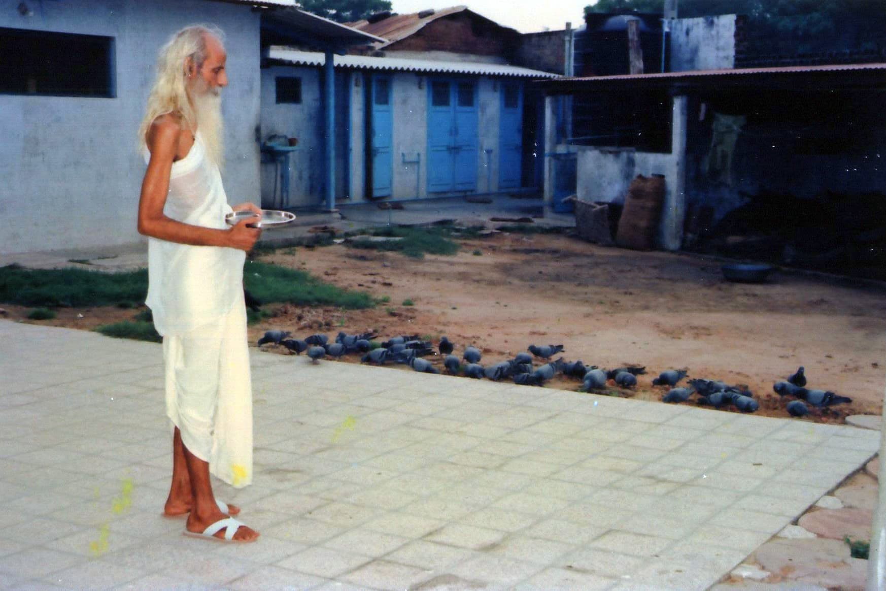 લીંચ - ઘર