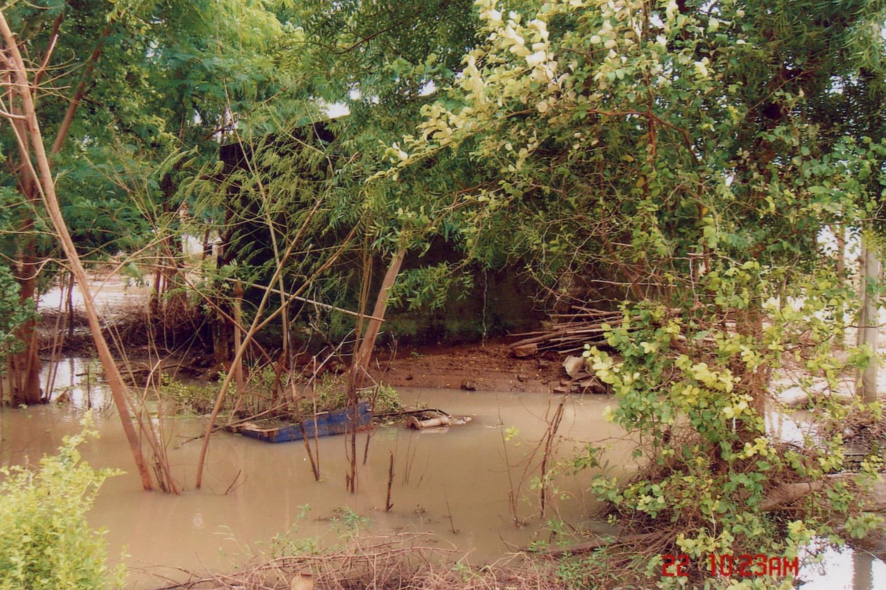 કોઠિયાખાડ - પૂરગ્રસ્ત
