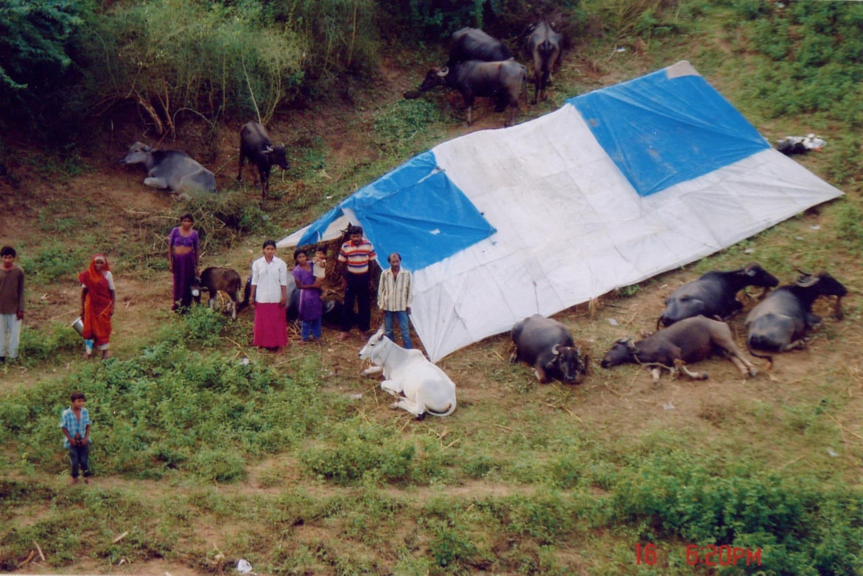 કોઠિયાખાડ - પૂરગ્રસ્ત